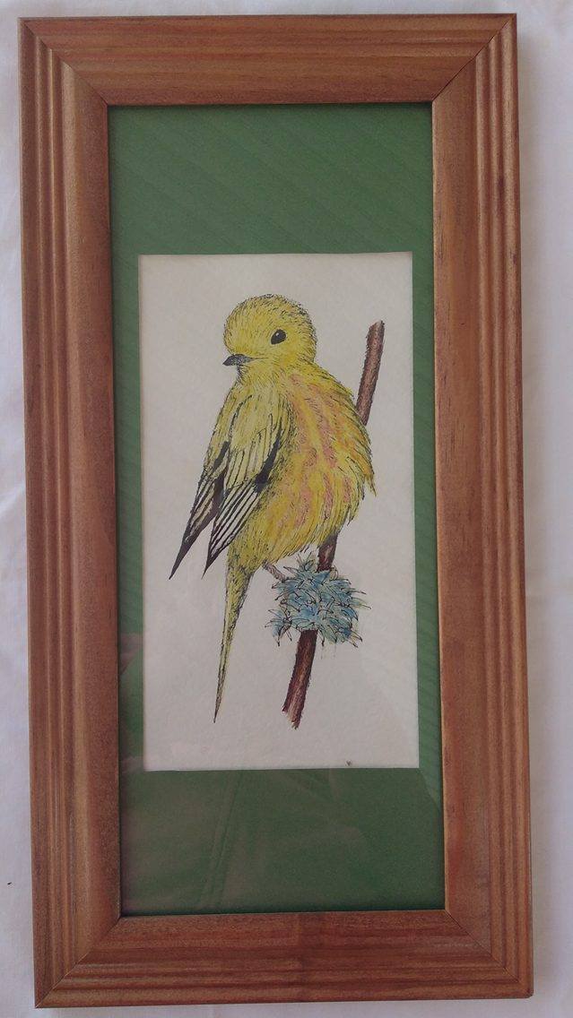 17311578_10154713401327639_1699038999_o