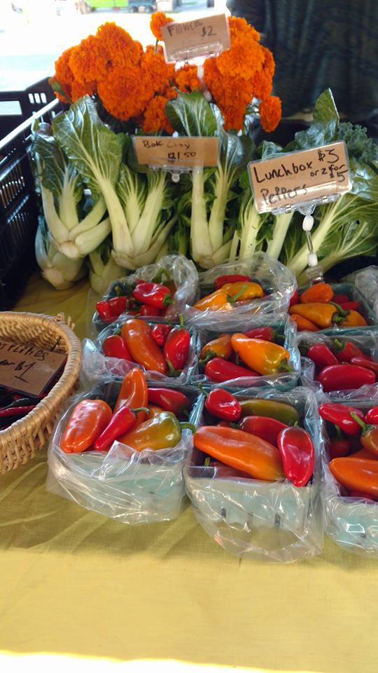 15027368_1880539808834368_4648778509731805523_n